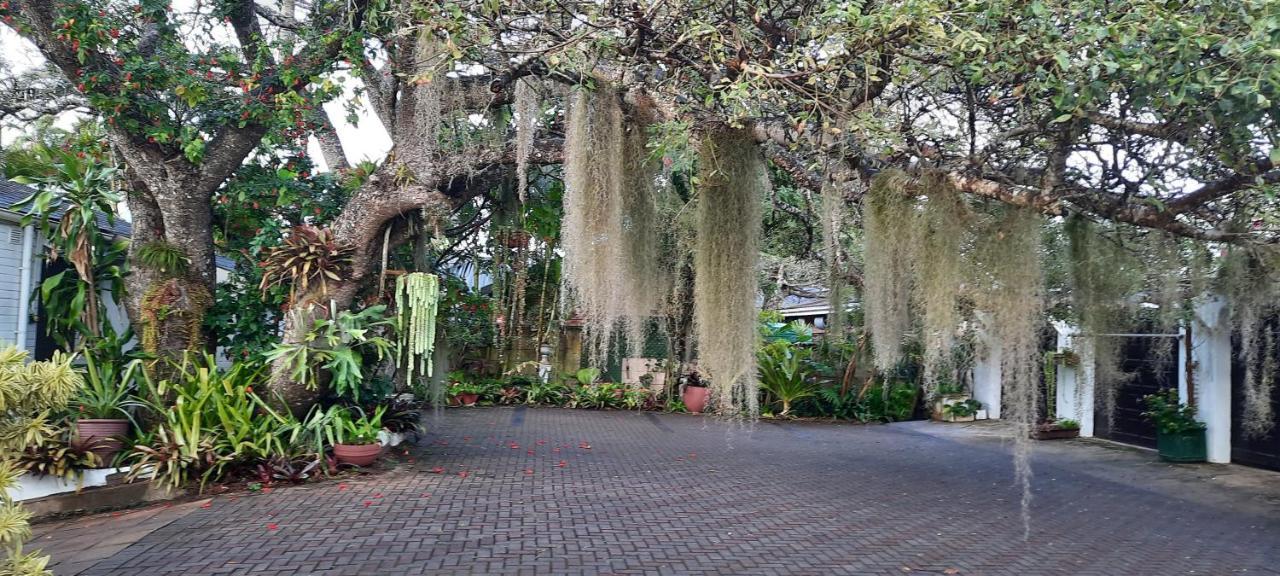 St. Lucia Wetlands Guest House Exterior photo