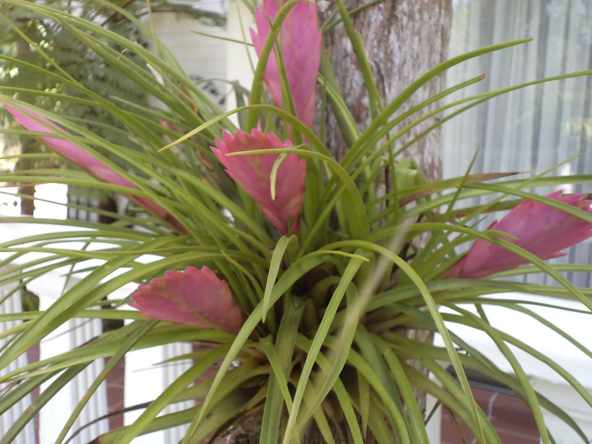 St. Lucia Wetlands Guest House Exterior photo